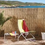 Arella Cina - immagine 2