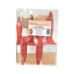 Kit 5 pennelli misure assortite