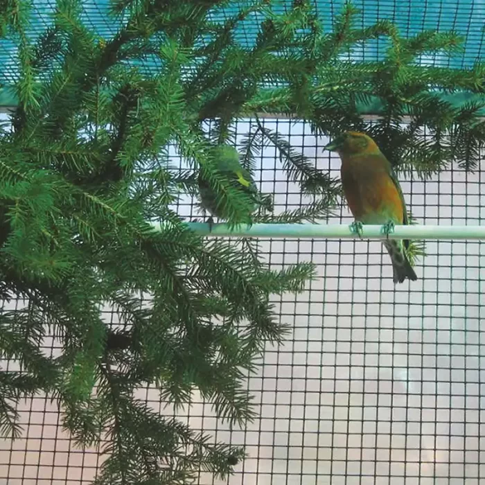 Rete metallica plastificata - immagine 3