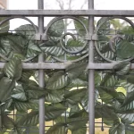 Siepe decorativa foglia lauro