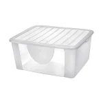 Contenitore trasparente Dodo's